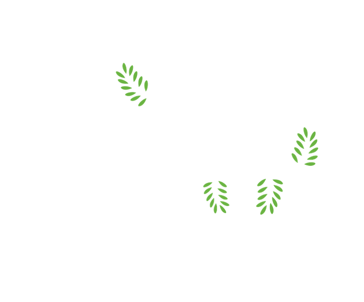 Mt. Olive Baptist Church